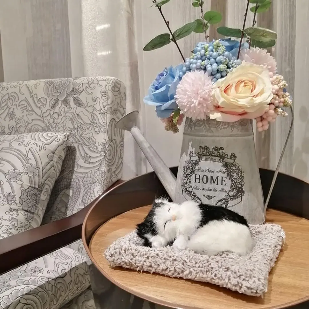 Cute Sleeping Kitty | Activated Carbon Dashboard Ornament (Absorbs Bad Smell)
